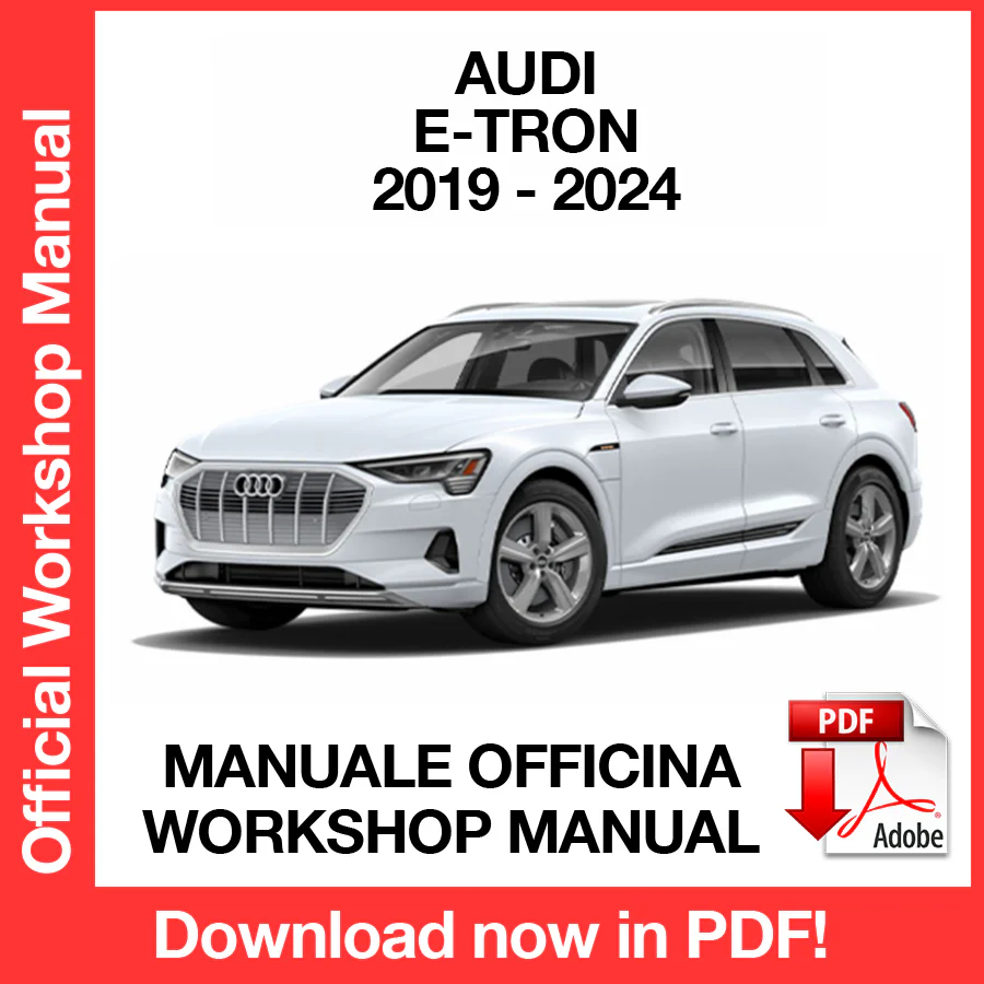 Manuale Officina Audi E-Tron (2019-2024) (EN)
