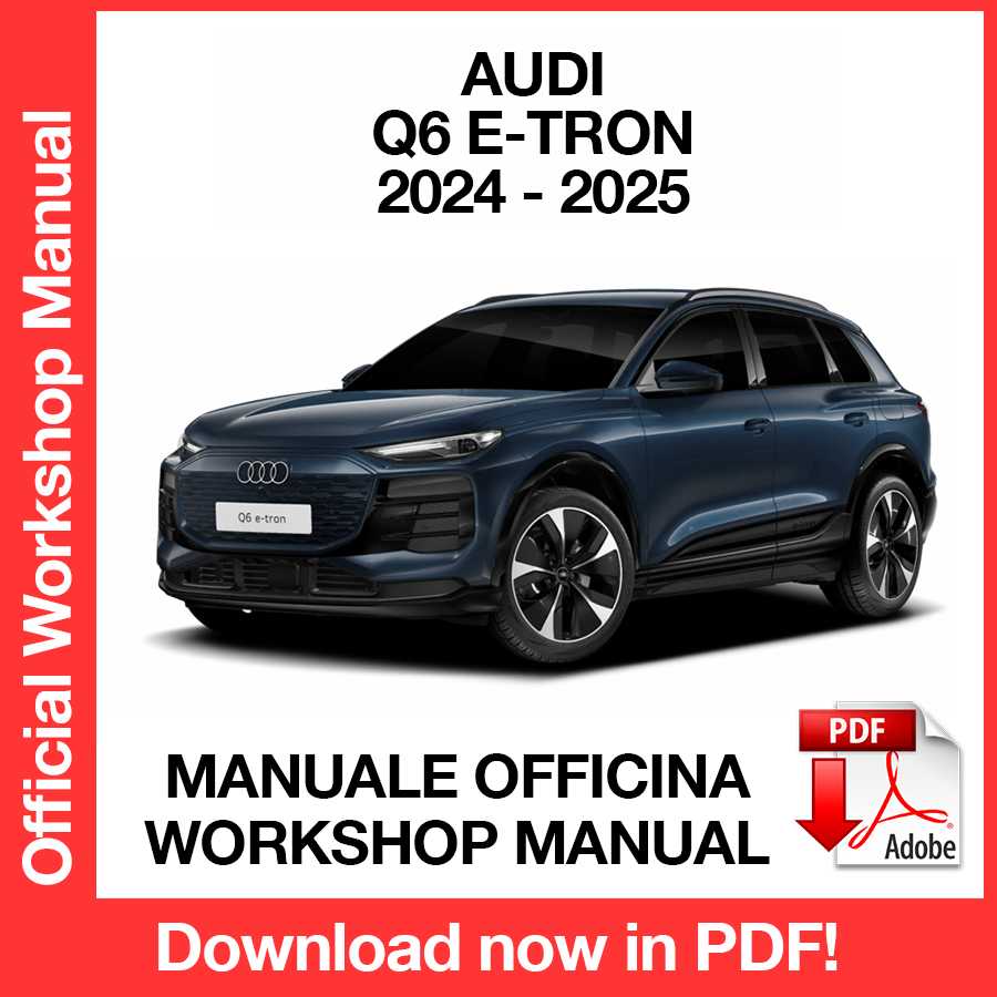 Manuale Officina Audi Q6 e-tron (2024-2025) (EN)